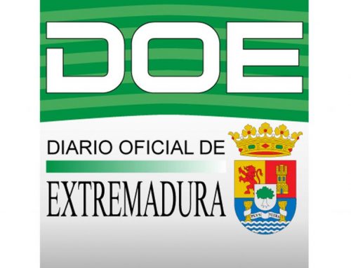 Se convoca proceso selectivo para el acceso a la condición de personal estatutario fijo en varias categorías